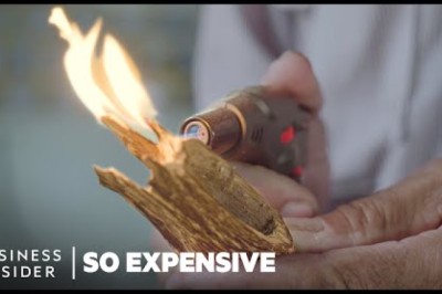 Why 4 Of The World’s Priciest Scents Are So Expensive