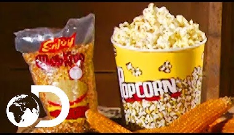 POPCORN - How It's Made
