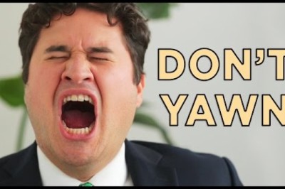 We Challenge You Not To Yawn