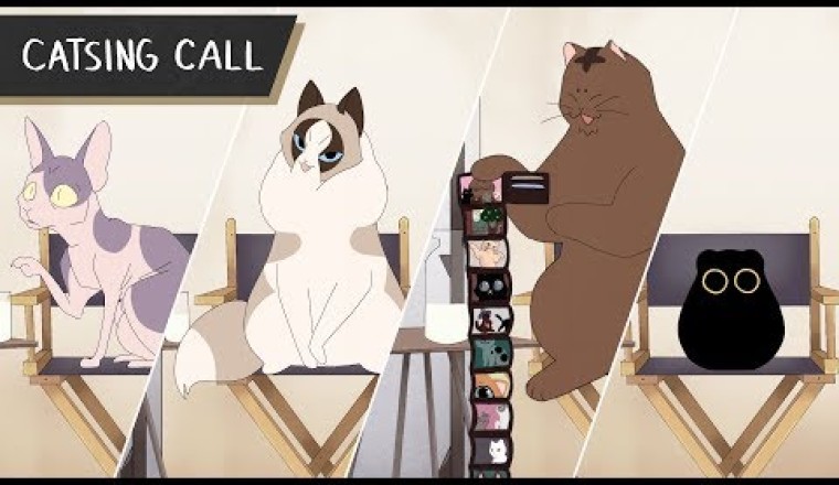 Catsing Call