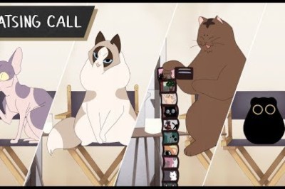 Catsing Call