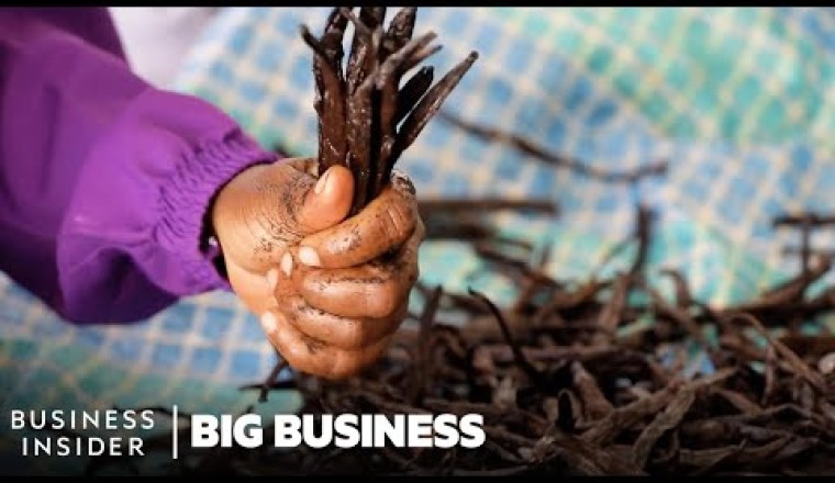 Vanilla Is The 2nd Most Expensive Spice. So Why Do Madagascar's Farmers Live In Poverty?