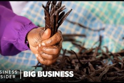 Vanilla Is The 2nd Most Expensive Spice. So Why Do Madagascar's Farmers Live In Poverty?
