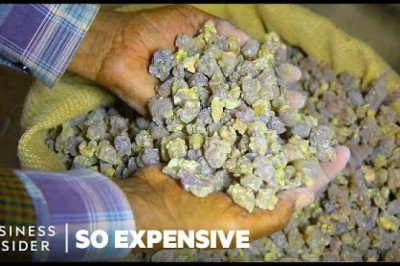 Why Frankincense And Myrrh Are So Expensive
