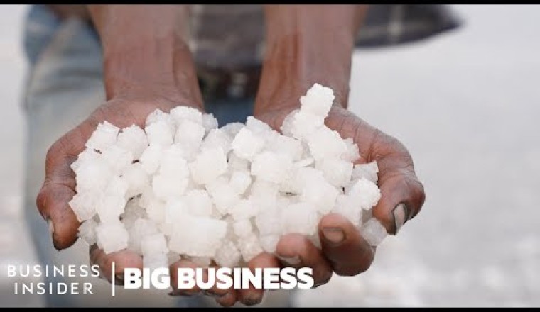 Why Salt Farmers Risk Their Lives To Harvest Desert Salt For $4 A Ton