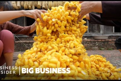 How Mountains Of Worm Cocoons Are Turned Into Expensive Silk In Vietnam