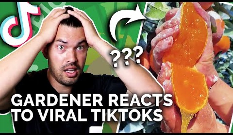 Gardener Reacts to Mind-Blowing Gardening TikToks