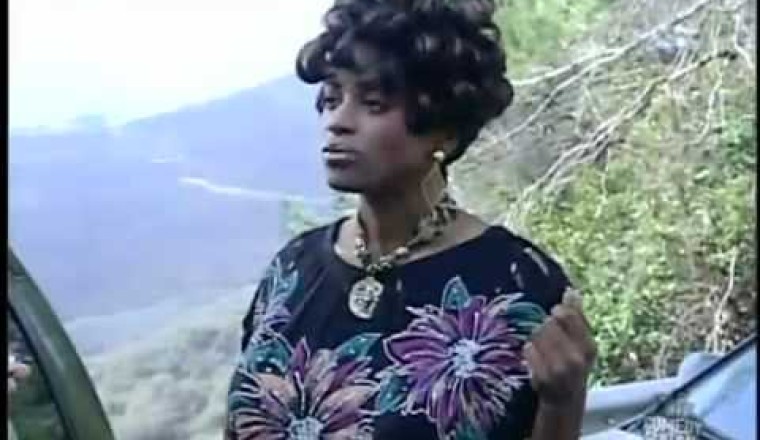 Yvonne Criddle Traffic Stop