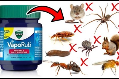How To Get Rid of Household Pests with Vicks