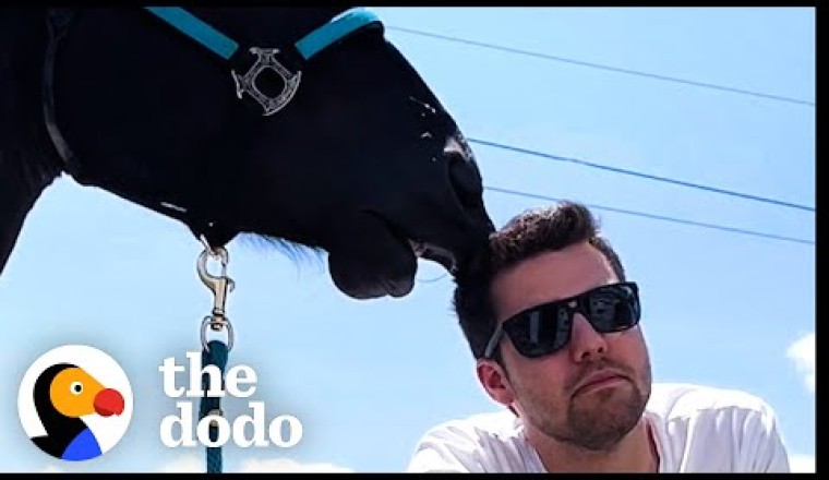 Horse Falls In Love With His Mom's Boyfriend