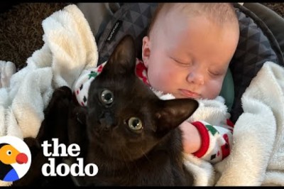 Kitten Gets Caught On Baby Cam Sneaking Into Her Sister's Crib For A Snuggle