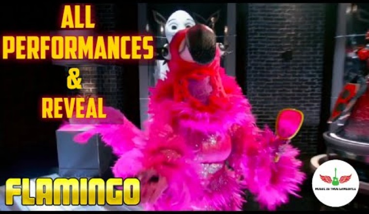 The Masked Singer: Flamingo