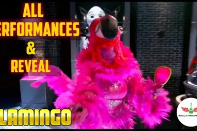 The Masked Singer: Flamingo