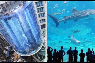 15 Largest Aquariums in the World
