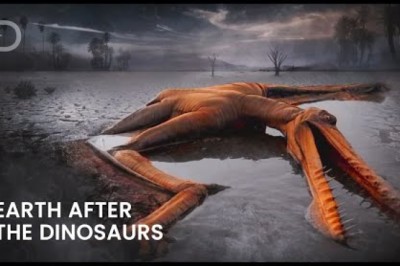 The First Minutes The Dinosaurs Went Extinct