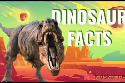 The Amazing World of Dinosaurs