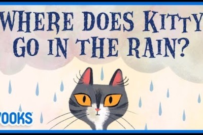Where Does Kitty Go In The Rain?