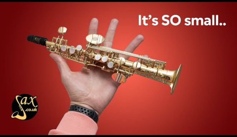 The World's Smallest Saxophone