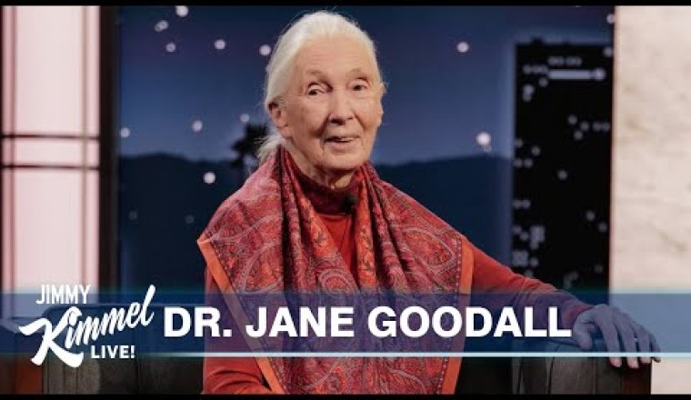 Dr. Jane Goodall on Living with Chimps, Their Language and the Possibility of Bigfoot