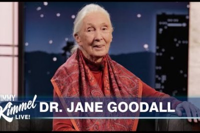 Dr. Jane Goodall on Living with Chimps, Their Language and the Possibility of Bigfoot