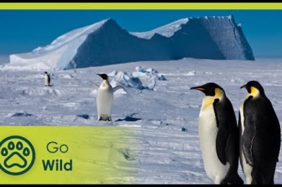 Antarctica - Tales from the End of the World