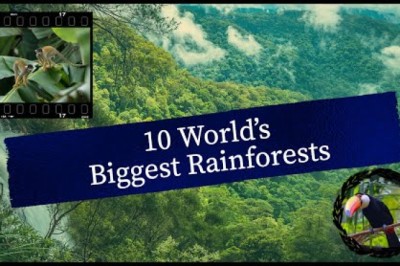 10 World's Biggest Rainforests