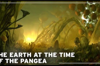 What Was The Earth Like At The Time Of The Pangea?