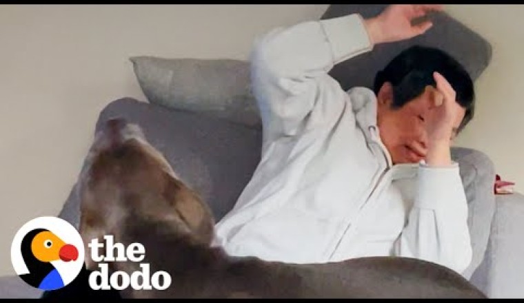Grandma Was Afraid Of Dogs Until...