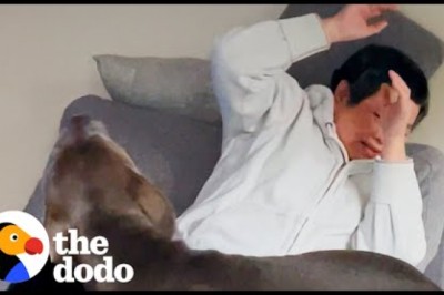 Grandma Was Afraid Of Dogs Until...