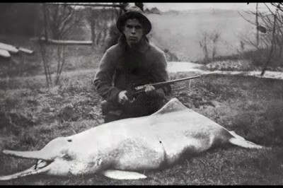 20 Last Known Photos of Animals That Went Extinct