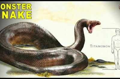 How a Coal Mine Dig Unearthed a Prehistoric Mega-Snake