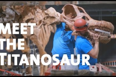 Meet the Titanosaur
