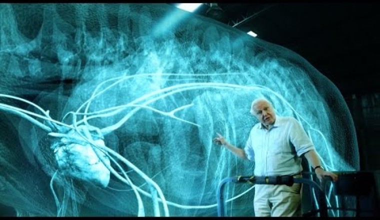 The Heart Of A Titanosaur