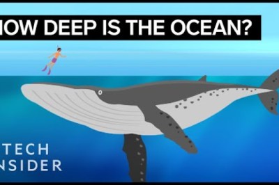 This Incredible Animation Shows How Deep The Ocean Really Is