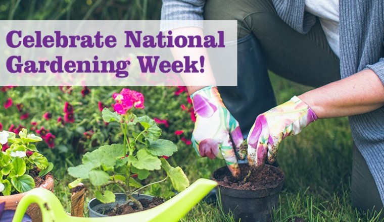 National Garden Week: June 4-10 2023