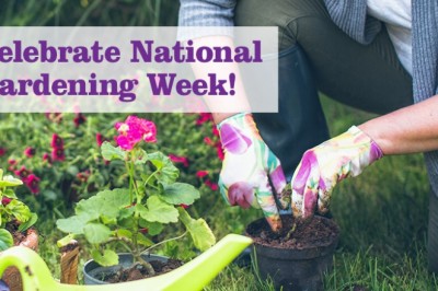 National Garden Week: June 4-10 2023