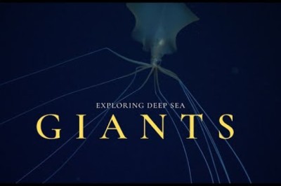 Deep Sea Gigantism - Why the Ocean Breeds Giants