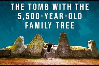 This is the Oldest Family Tree in the World