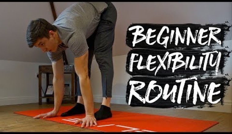 15 Minute Beginner Stretch Flexibility Routine