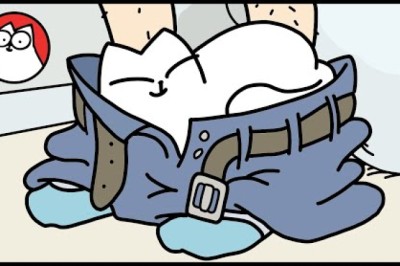 Simon's Cat's GUIDE TO EVERYTHING