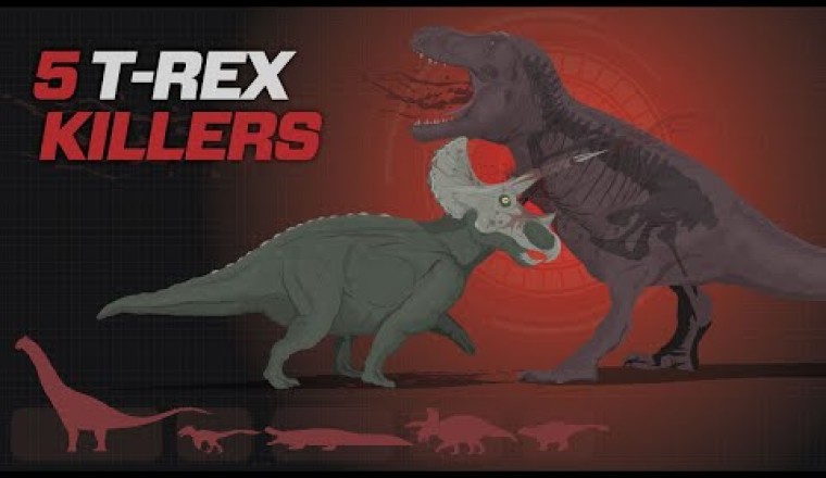 5 Dinosaurs that could KILL a T-Rex!