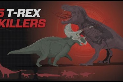5 Dinosaurs that could KILL a T-Rex!