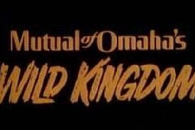 Mutual Of Omaha's Wild Kingdom