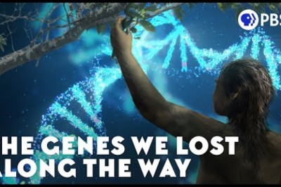 The Genes We Lost Along the Way