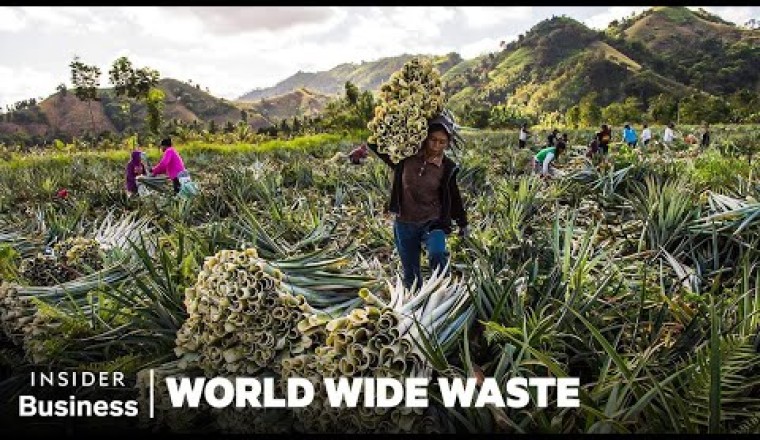 How People Profit Off Pineapple Scraps