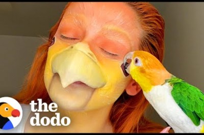 Needy Bird Rushes In The Shower Whenever He Hears The Water Running