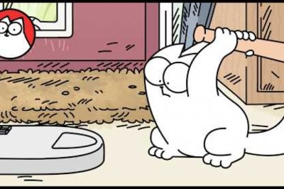 Cat Sitting