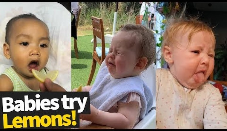 Babies Try Lemons For The First Time