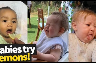 Babies Try Lemons For The First Time