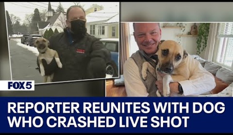 Pups in the News